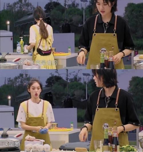 常驻嘉宾|中餐厅5:内娱做综艺,真是又轻松又赚钱