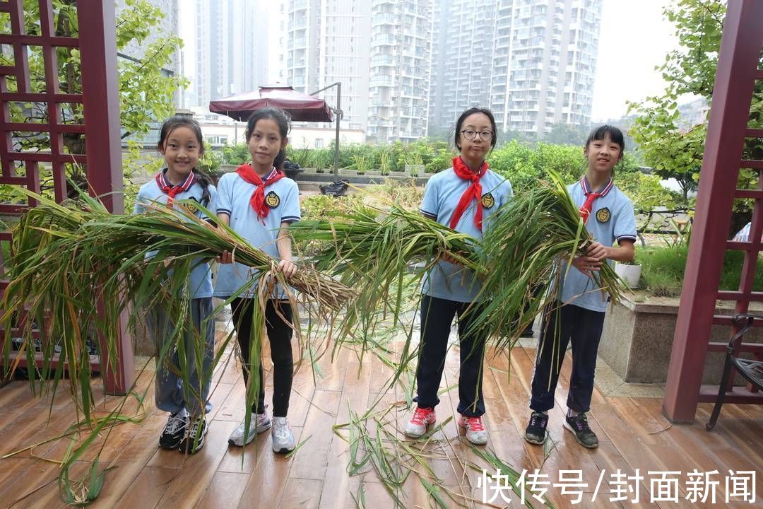 五育融合|新时期劳动教育看成都 全国中小学生劳动教育现场推进会在蓉召开