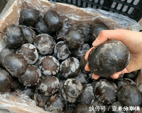 大爷|大爷摆摊卖“烂果子”,6元一斤,路人看了绕道走,识货人包圆了