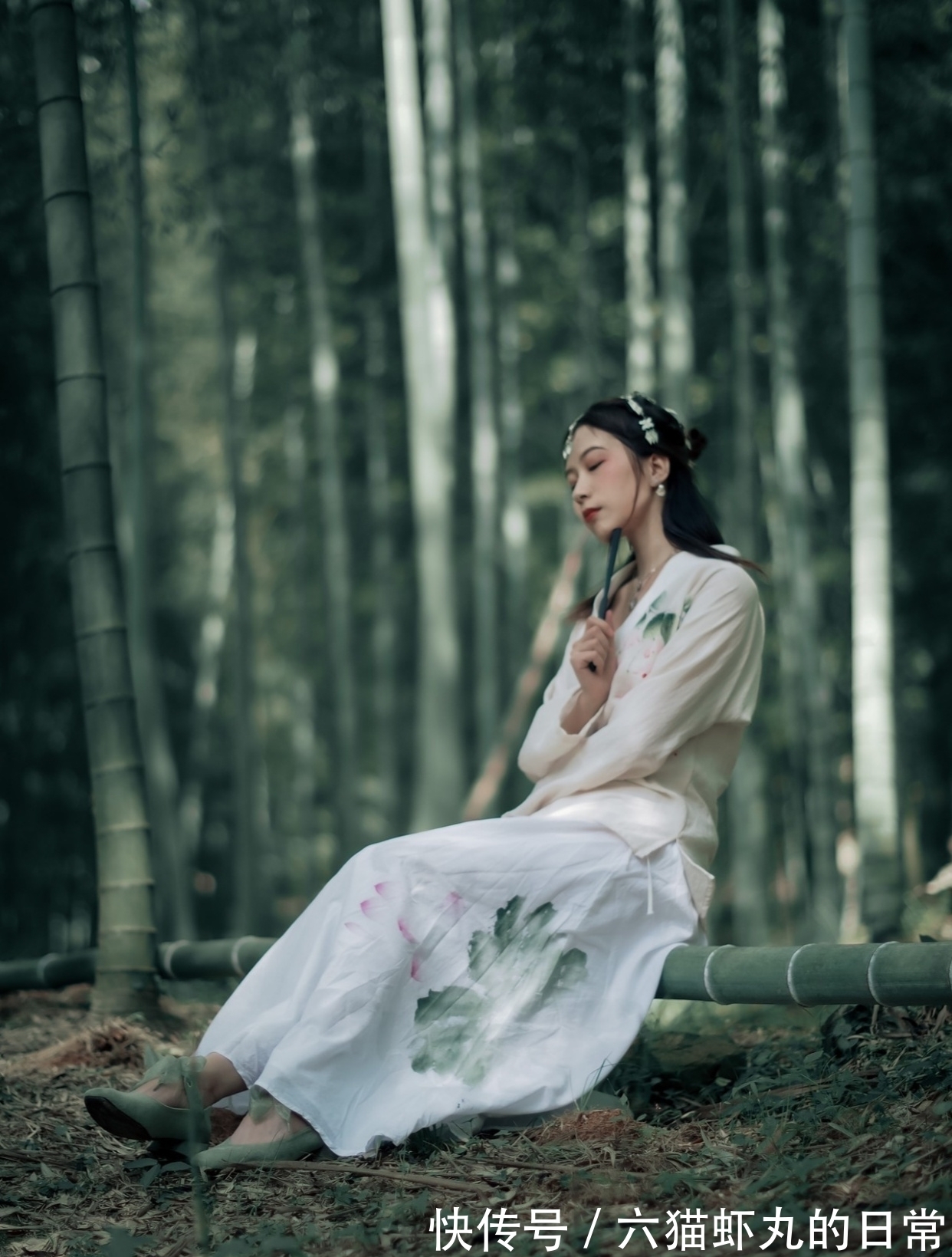 修贤!七绝·十九首丨个中思念寄鱼雁,每问海棠无恙乎?