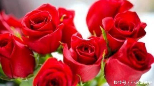 几款花卉四季有花开，花香四溢飘满屋，入手不亏