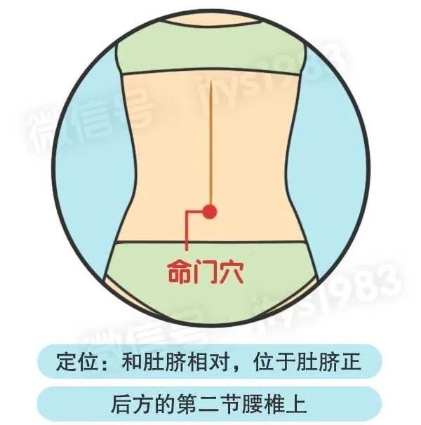 天枢穴|饭后一个小动作，补肾阳、养脾胃！老中医也推荐