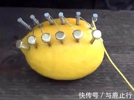 柠檬酸|男子将柠檬上插满钢钉,没想到接下来发生的事情让众人傻眼