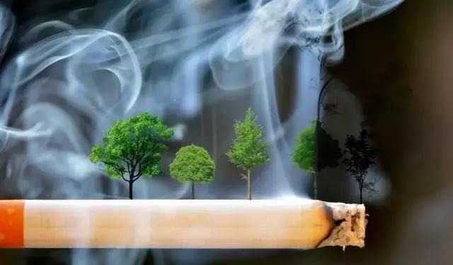 裙带菜|三种习惯致高血脂,四种食物降血脂,五种习惯克高血脂