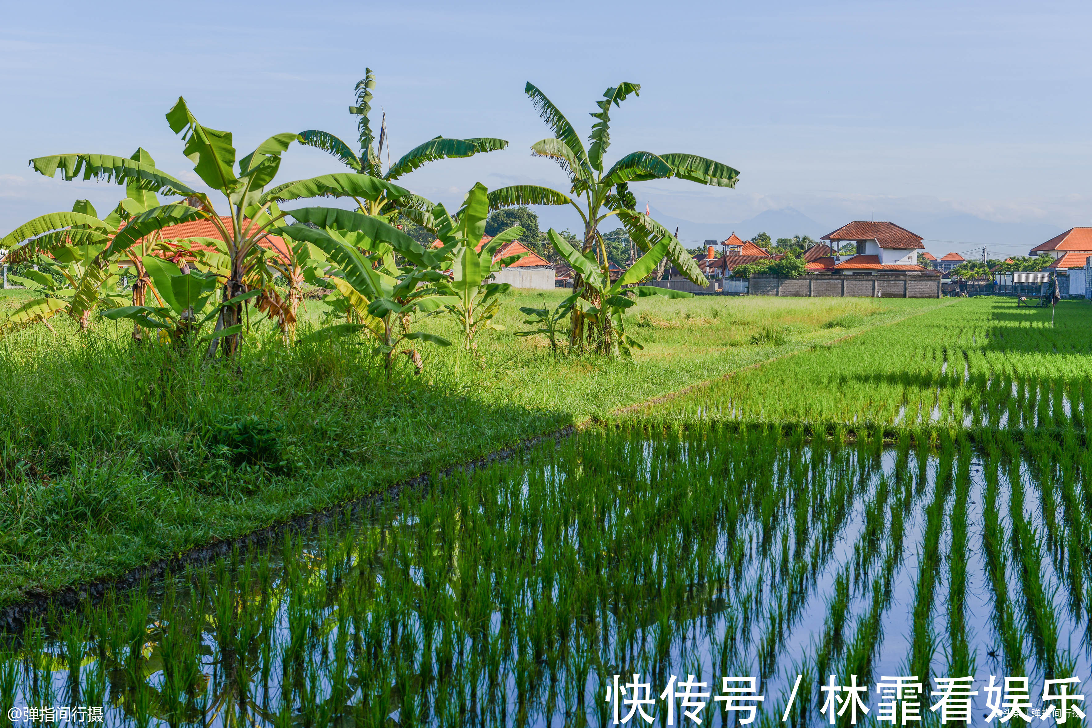 耕地|巴厘岛农田告急，当地举办“稻草人节”捍卫耕地，反成旅游增长点