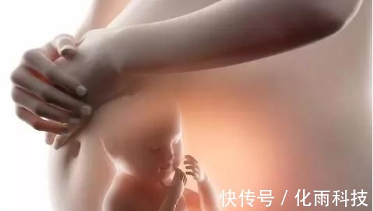 心脑血管|血型决定孩子智力高低?专家解答:妈妈是这种血型,娃会很聪明