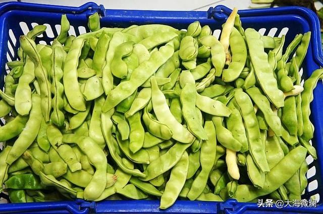 亲戚|姐的菜园喜获丰收，各式各样蔬菜都有，亲戚邻里大筐满小袋流