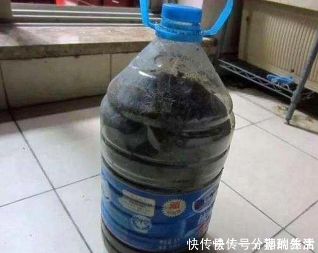 花卉|鱼肠养花,4个方法除臭效果好,花卉长得旺,开花多!