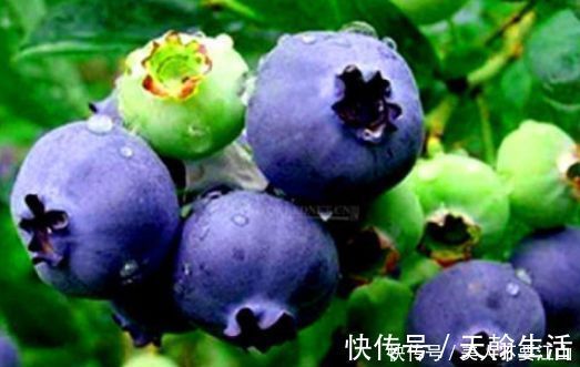 身体|想长寿要先会吃,3种食物不能少,补充营养,身体棒棒哒