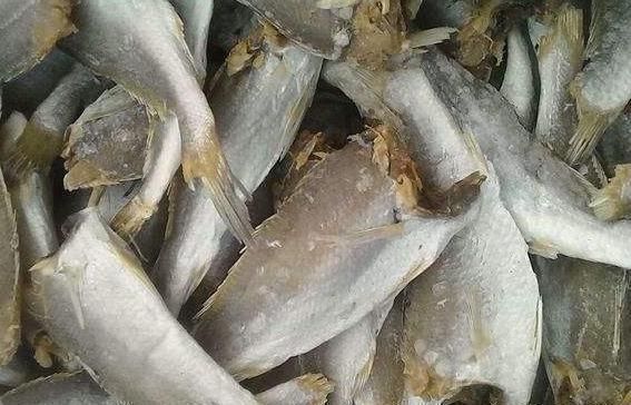 被“误解”最深的鱼，因冷冻被人嫌弃，比带鱼有营养，比鲫鱼好吃