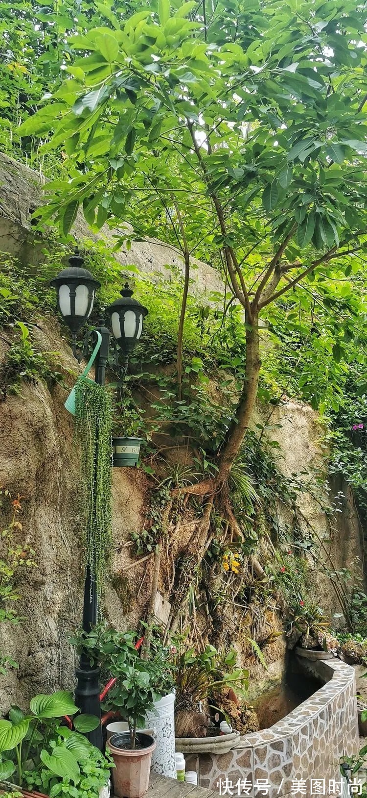 薇月|四年前,接手了朋友带120㎡院子的房子,打造成花园后朋友羡慕了