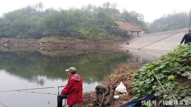 浮漂有动作，提竿却不中鱼，这种情况该如何应对