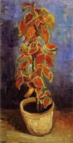 你真的了解梵高吗？他还是一位插花大师！