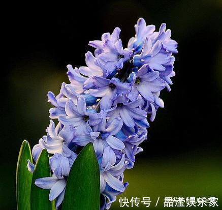 在职场|几点钟出生的孩子,父母很放心,一生从头顺到尾,人到中年成条龙