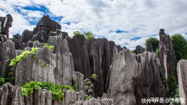 尉迟|《云南昆明石林唯美风景》病尉迟-协助拍摄