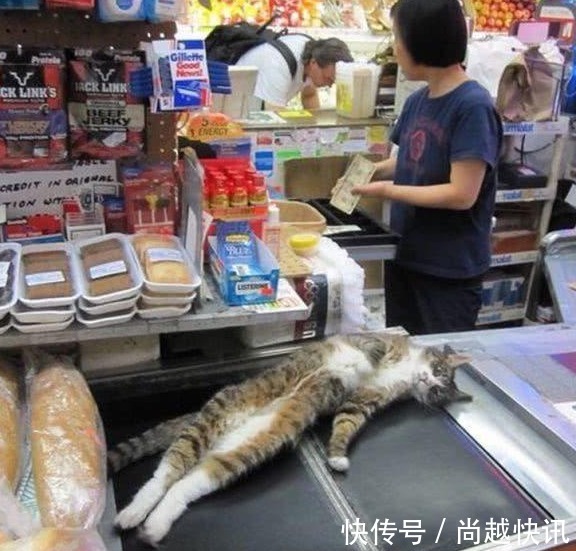 |搞笑图片幽默段子笑话哈哈,还在餐巾纸上画画呢,有意思哦