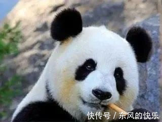 |【搞笑段子】摩托归我了，其它你随意。