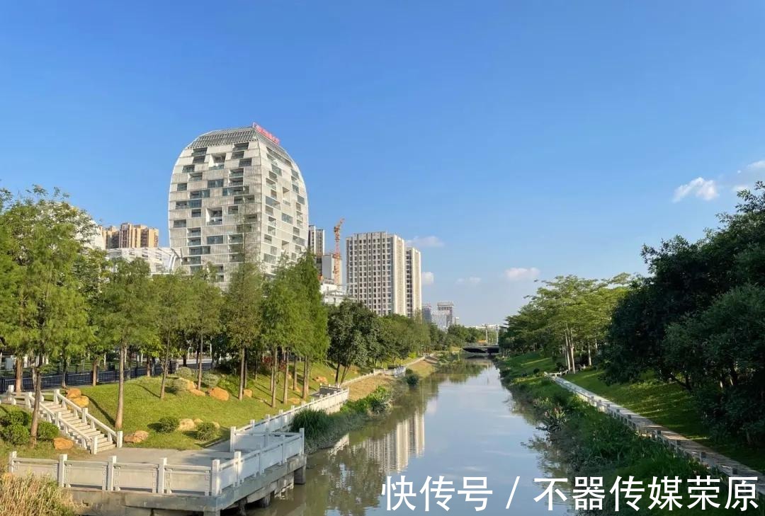 园区|家门口的湿地公园，藏着90%人没发现的美景