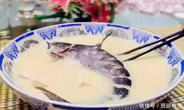 它常被误认成鲶鱼,一斤180元比刀鱼鲜美,如今被当补品快吃绝了