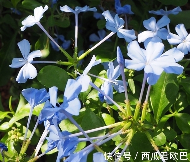 自尊|3天后,无私奉献,追寻爱情,红娘引线,拾起自尊,越过越风光