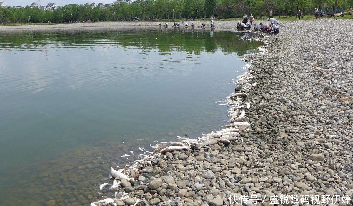 驱赶、罚款、禁钓、拘留，钓鱼人该如何自处？