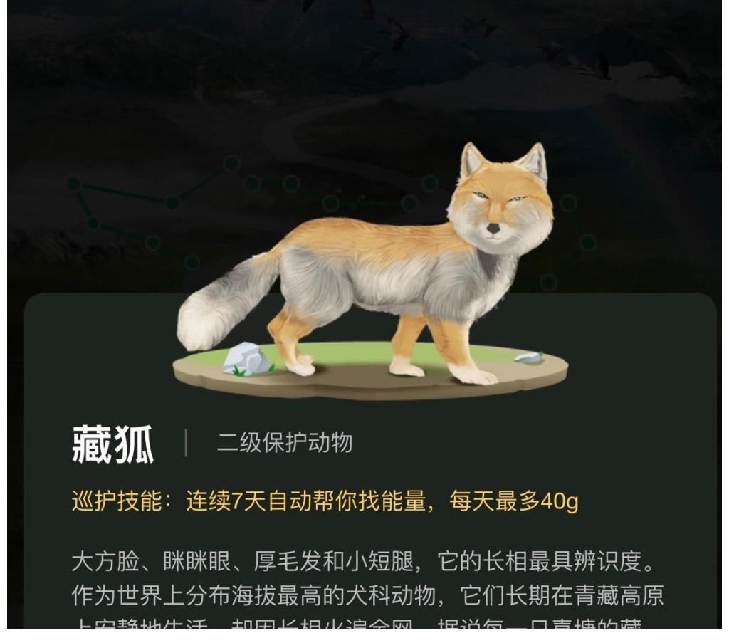 张辰亮|《天天向上》新一期换口味了，不玩娱乐更有看点，开始走科普路线