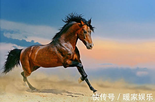 好运气|生肖马,你名字中若带有这些“字”,一生福泽深厚,财源不断!