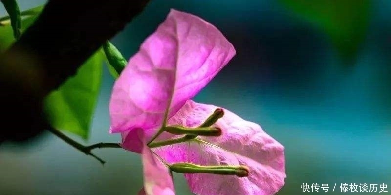 命运|俗语:“勾头女子挺胸汉,一生富贵半生闲”,你是啥?有道理吗