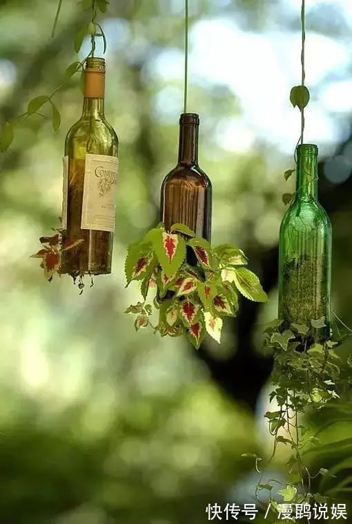 小花|别再花钱买普通花盆了,你意想不到的种花神器!