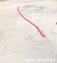 |搞笑图片:刺激,下次就没这么好运了