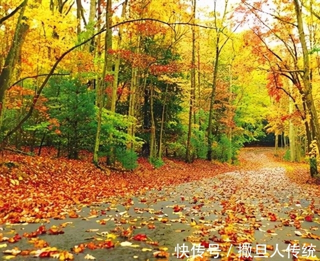 中华诗词!童言童语(91-100)|郞晓梅评《中华诗词》校园诗稿作品