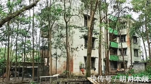 重庆|探访无人居住的荒岛，曾做过巨大贡献，即将开发成湿地公园