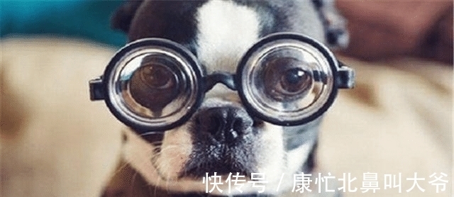 眼镜|近视眼长期不佩戴眼镜,眼睛会怎样呢?答案你可能想不到!