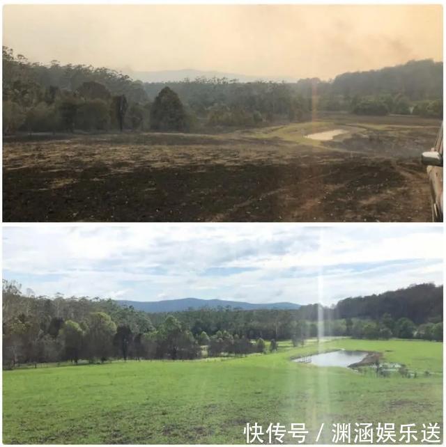 25张不可思议的对比图，你可能一张都没见过！