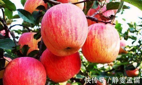 山楂|血液粘稠不用怕,3种水果,有助清理血管垃圾,巧防血栓