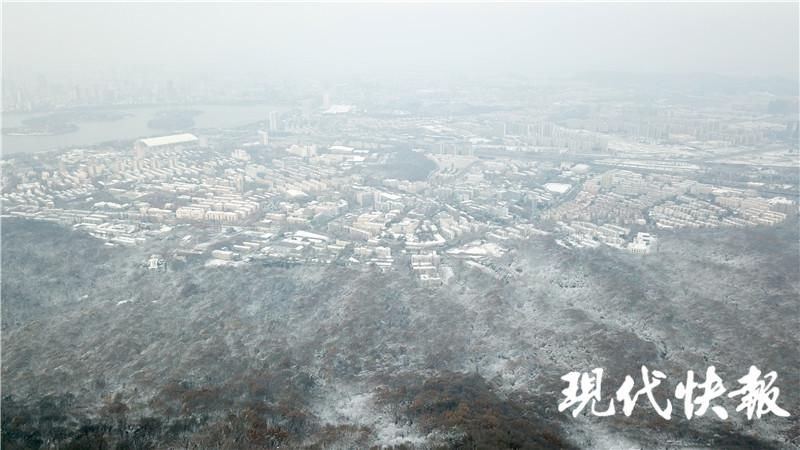 雪落|雪落紫金山，许你一个冰雪世界