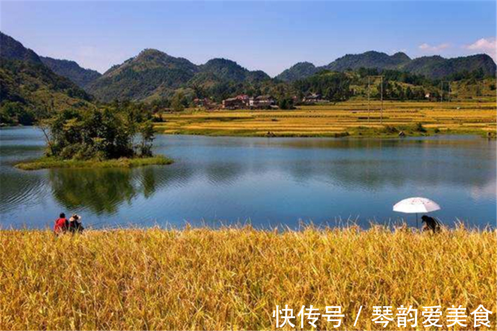 晚秋钓鲫鱼,找到鱼窝的3个步骤,按照步骤来,成功几率十之八九