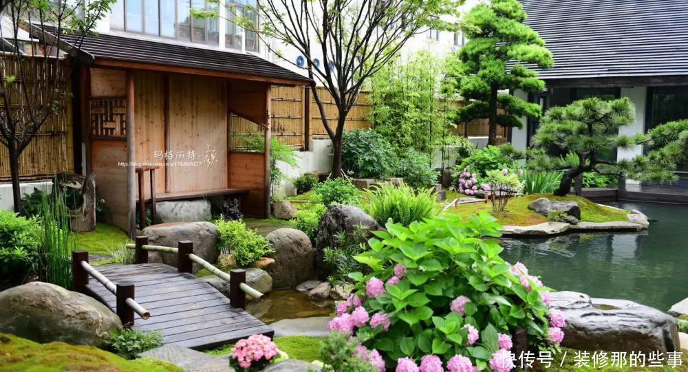 想要打造“高级”花园,春天种上“4种花”,颜值高,爱开花