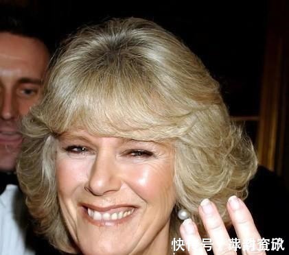 查尔斯 卡米拉的蛇形项链20年前做情人时查尔斯送的,蛇蝎气质一目了然