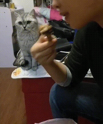 |搞笑GIF:花大价钱来看的表演 你们说我是不是被骗了