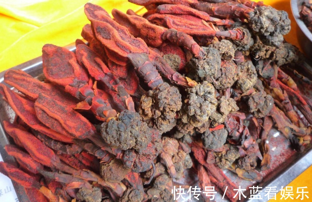 回春草|种回春草能卖200元一斤,结了婚的男人都在找,遇见最好不要错过