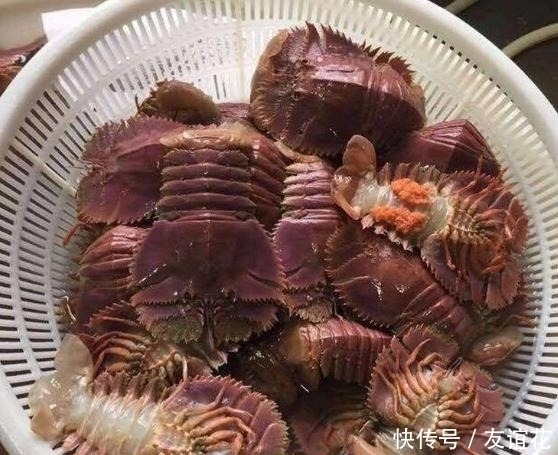 误以为|朋友寄一箱“海鲜”,误以为是虾,本想扔掉,掰开后“惊喜满满”