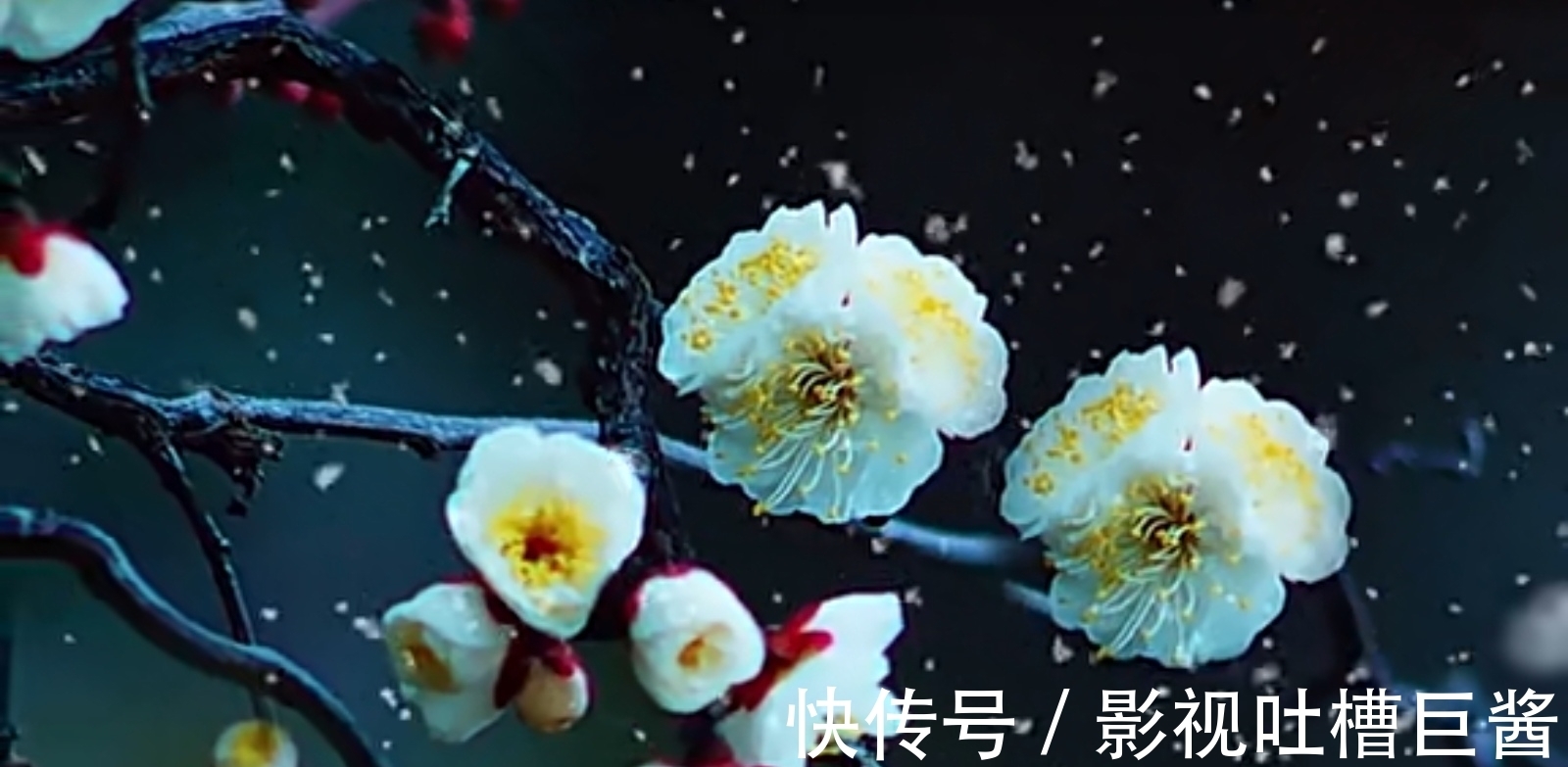 除夕夜&陆游在除夕夜举杯未饮先作诗,窗外大雪纷飞,屋内灯火暖暖