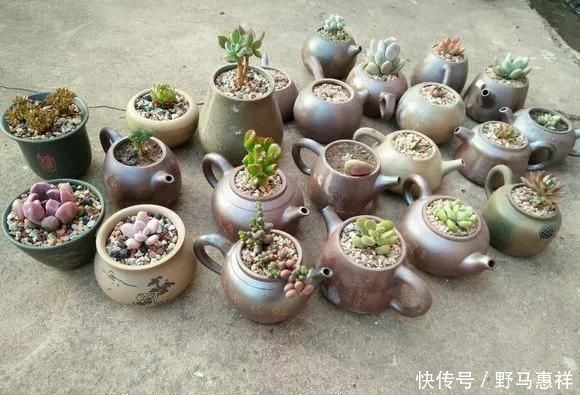 花盆不用买,变废为宝做一个,比买的还好看,分分钟惊艳朋友圈