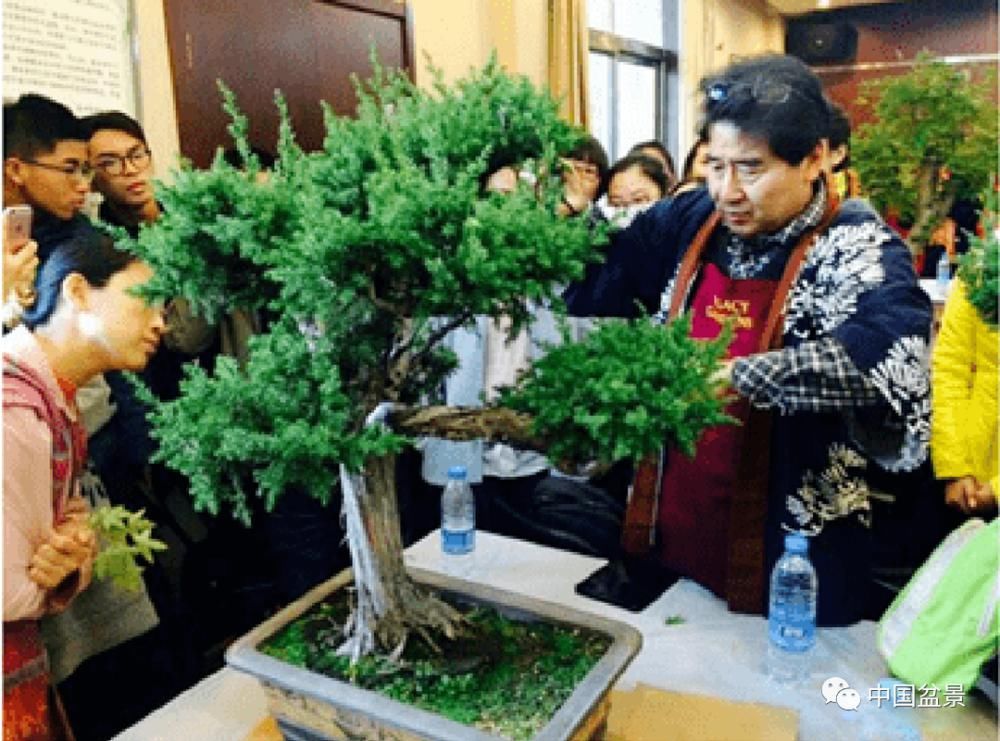 呕心沥血露芳华——访中国盆景文化史专家李树华