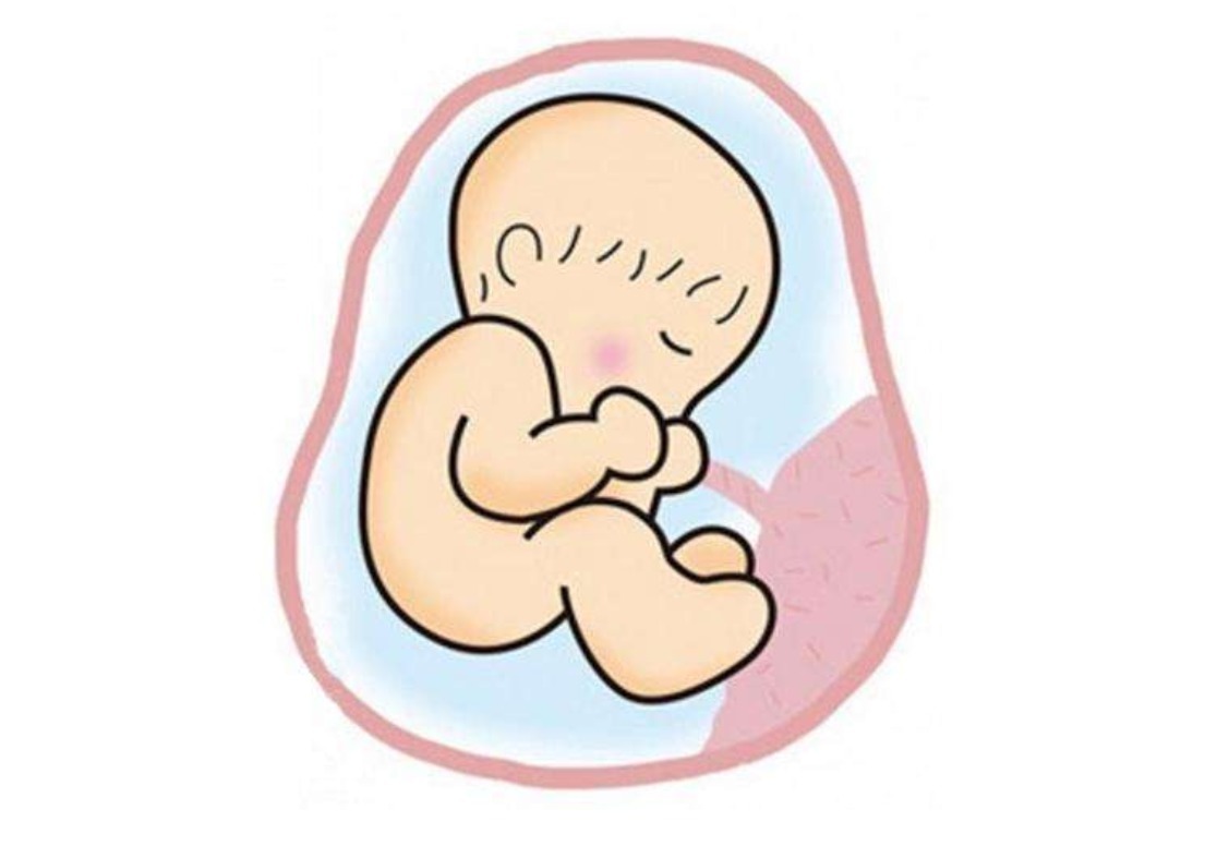 萝爸|馋嘴孕妈连续2胎怀畸儿!孕期3种食物真不能吃,会影响胎儿发育