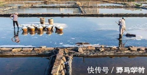 老家做豆腐都是卤水豆腐,那么卤水是怎么弄的?是什么物质?