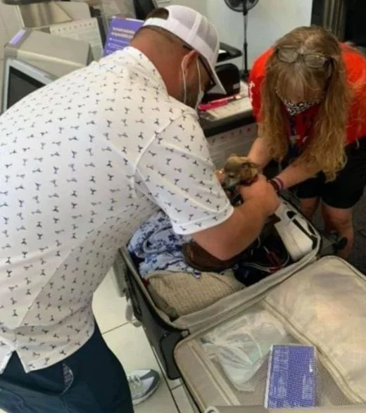 一对夫妇准备登机时行李超重打开后竟发现宠物狗在里面
