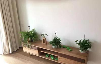 家电|晒晒60平婚房,前后装修花4万不包家电,婆婆看了以为是租房