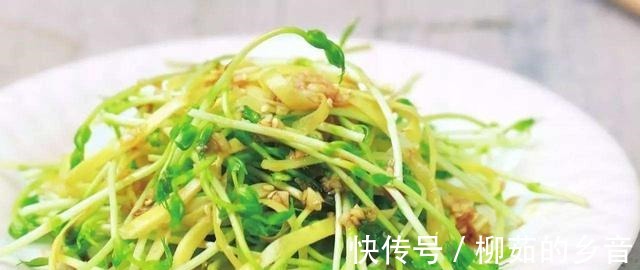 凉拌豌豆苗|“脂肪小杀手”，好吃美味，让你在吃的同时，轻轻松松瘦下来！